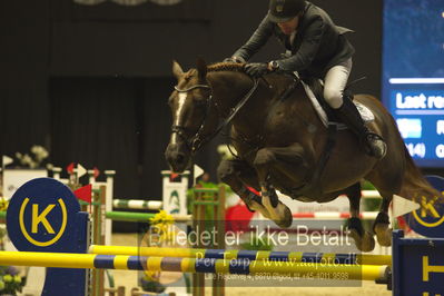 Dansk varmblod hingstekåring.
STUTTERI ASK Grand Prix 150 cm CSI3
Nøgleord: søren møller rohde;todt un prince ask