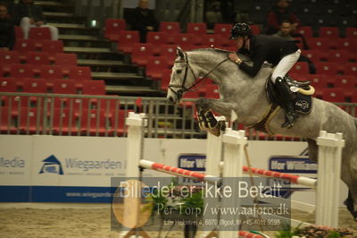 Dansk varmblod hingstekåring.
Unghestechampionatet spring
Nøgleord: rockmama;christian jansen