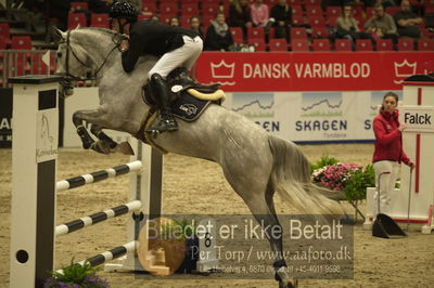 Dansk varmblod hingstekåring.
Unghestechampionatet spring
Nøgleord: rockmama;christian jansen