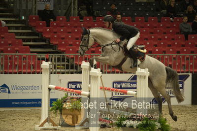 Dansk varmblod hingstekåring.
Unghestechampionatet spring
Nøgleord: la chica;dennis noes nielsen