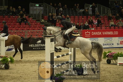 Dansk varmblod hingstekåring.
Unghestechampionatet spring
Nøgleord: la chica;dennis noes nielsen