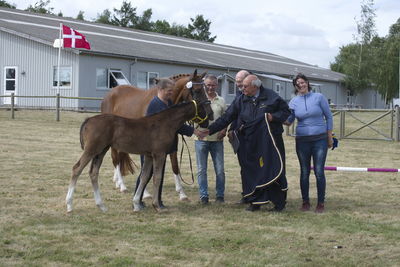 Følskue - hoppekåringer-schau
Ringsted 2018
Nøgleord: søren christiansen;charlotte grønlund;libertad;abanos;amazing grace l;2018-23