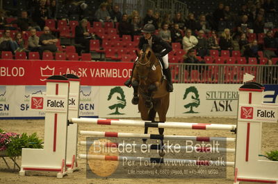 Dansk varmblod hingstekåring.
Unghestechampionatet spring
Nøgleord: ida mundberg hansen;mundbjergs sandrino boy