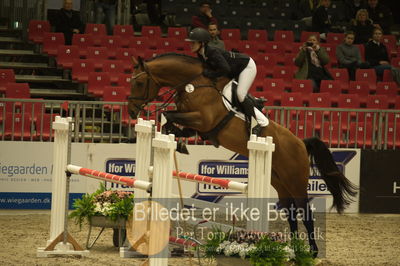 Dansk varmblod hingstekåring.
Unghestechampionatet spring
Nøgleord: ida mundberg hansen;mundbjergs sandrino boy