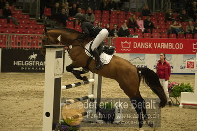 Dansk varmblod hingstekåring.
Unghestechampionatet spring
Nøgleord: ida mundberg hansen;mundbjergs sandrino boy