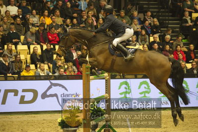 Dansk varmblod hingstekåring.
STUTTERI ASK Grand Prix 150 cm CSI3
Nøgleord: christian hess;casimir 162