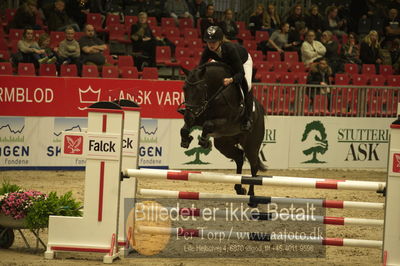 Dansk varmblod hingstekåring.
Unghestechampionatet spring
Nøgleord: francesca hillock;betina møller jensen