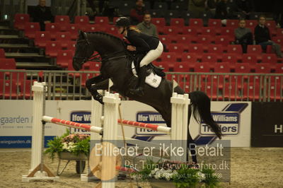 Dansk varmblod hingstekåring.
Unghestechampionatet spring
Nøgleord: francesca hillock;betina møller jensen