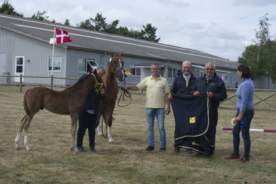 Følskue - hoppekåringer-schau
Ringsted 2018
Nøgleord: søren christiansen;charlotte grønlund;libertad;abanos;amazing grace l;2018-23