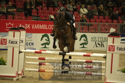 Dansk varmblod hingstekåring.
Unghestechampionatet spring
Nøgleord: c&#039;amie;n;helena irmand nielsen