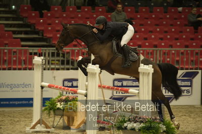 Dansk varmblod hingstekåring.
Unghestechampionatet spring
Nøgleord: c&#039;amie;n;helena irmand nielsen