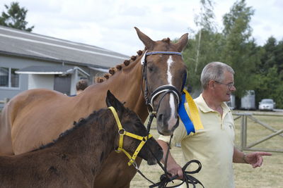 Følskue - hoppekåringer-schau
Ringsted 2018
Nøgleord: søren christiansen;charlotte grønlund;libertad;abanos;amazing grace l;2018-23