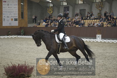 Dansk Rideforbunds Championats finaler 2018 dressur
Dansk Rideforbunds Championats finaler 2018
5 års præmie - 6års klassen
Nøgleord: grønskovlund's tower;rikke damgaard thomsen