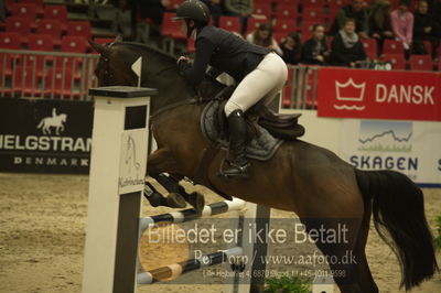 Dansk varmblod hingstekåring.
Unghestechampionatet spring
Nøgleord: c&#039;amie;n;helena irmand nielsen