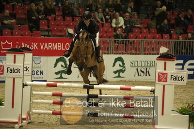 Dansk varmblod hingstekåring.
Unghestechampionatet spring
Nøgleord: kalissi ask;karen møller rohde