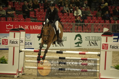 Dansk varmblod hingstekåring.
Unghestechampionatet spring
Nøgleord: kalissi ask;karen møller rohde