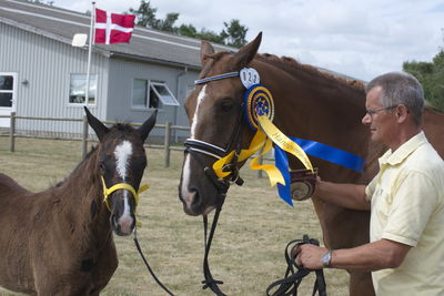 Følskue - hoppekåringer-schau
Ringsted 2018
Nøgleord: søren christiansen;charlotte grønlund;libertad;abanos;amazing grace l;2018-23