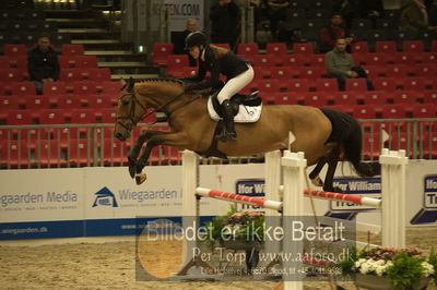 Dansk varmblod hingstekåring.
Unghestechampionatet spring
Nøgleord: kalissi ask;karen møller rohde