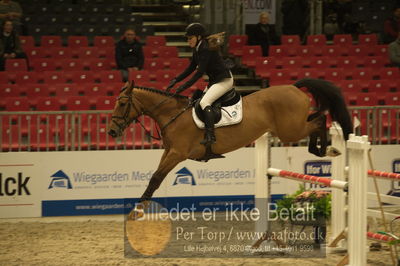 Dansk varmblod hingstekåring.
Unghestechampionatet spring
Nøgleord: kalissi ask;karen møller rohde