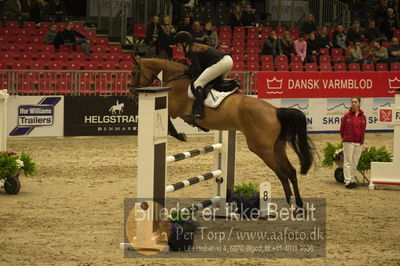 Dansk varmblod hingstekåring.
Unghestechampionatet spring
Nøgleord: kalissi ask;karen møller rohde