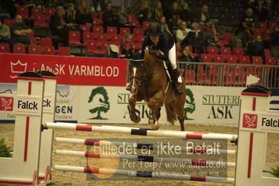 Dansk varmblod hingstekåring.
Unghestechampionatet spring
Nøgleord: ullerups carlo;renee ulvsbjerg