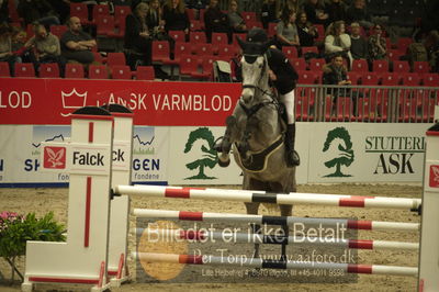 Dansk varmblod hingstekåring.
Unghestechampionatet spring
Nøgleord: quinana;charlotte schreiber