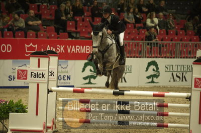 Dansk varmblod hingstekåring.
Unghestechampionatet spring
Nøgleord: quinana;charlotte schreiber