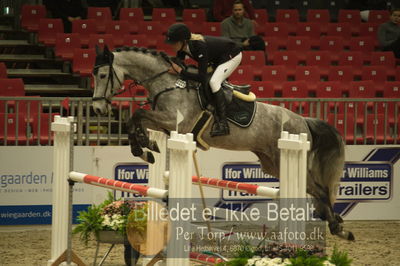 Dansk varmblod hingstekåring.
Unghestechampionatet spring
Nøgleord: quinana;charlotte schreiber