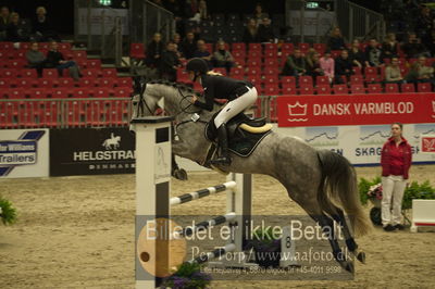 Dansk varmblod hingstekåring.
Unghestechampionatet spring
Nøgleord: quinana;charlotte schreiber