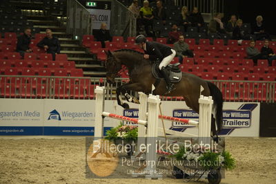 Dansk varmblod hingstekåring.
Unghestechampionatet spring
Nøgleord: lykkehøjs fabian;morten grøftehauge