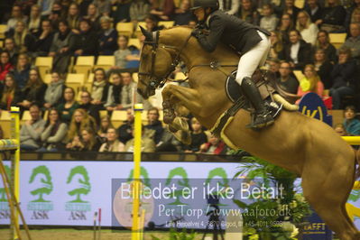 Dansk varmblod hingstekåring.
STUTTERI ASK Grand Prix 150 cm CSI3
Nøgleord: joao victor castro;quintin pj