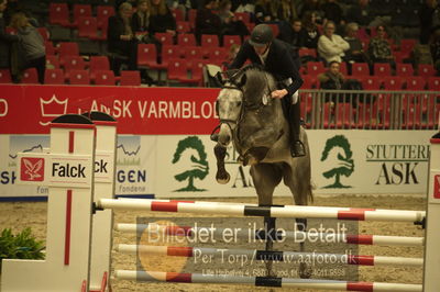 Dansk varmblod hingstekåring.
Unghestechampionatet spring
Nøgleord: caba brons;thomas phil jensen