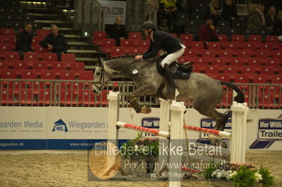 Dansk varmblod hingstekåring.
Unghestechampionatet spring
Nøgleord: caba brons;thomas phil jensen