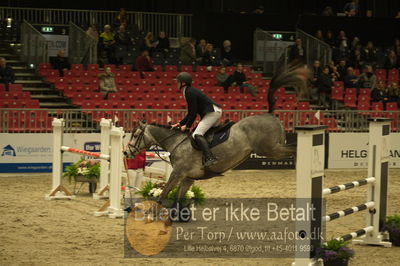 Dansk varmblod hingstekåring.
Unghestechampionatet spring
Nøgleord: caba brons;thomas phil jensen