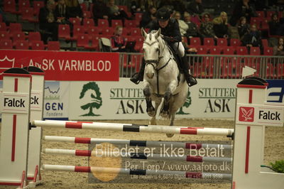 Dansk varmblod hingstekåring.
Unghestechampionatet spring
Nøgleord: samba&#039;s survivor h;georgia timmermann