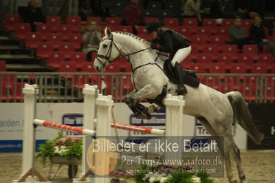 Dansk varmblod hingstekåring.
Unghestechampionatet spring
Nøgleord: samba&#039;s survivor h;georgia timmermann