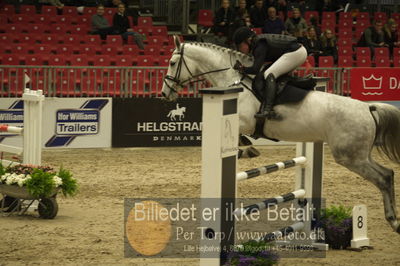 Dansk varmblod hingstekåring.
Unghestechampionatet spring
Nøgleord: samba&#039;s survivor h;georgia timmermann