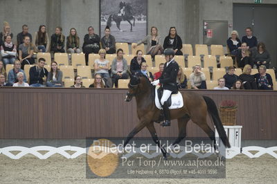 Dansk Rideforbunds Championats finaler 2018 dressur
Dansk Rideforbunds Championats finaler 2018
5 års præmie - 6års klassen
Nøgleord: jan møller Christensen;hesselhøj donkey boy