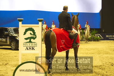 Dansk varmblod hingstekåring.
STUTTERI ASK Grand Prix 150 cm CSI3
Nøgleord: robert vos;lap of honour