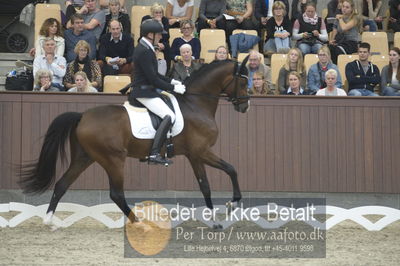 Dansk Rideforbunds Championats finaler 2018 dressur
Dansk Rideforbunds Championats finaler 2018
5 års præmie - 6års klassen
Nøgleord: jan møller Christensen;hesselhøj donkey boy