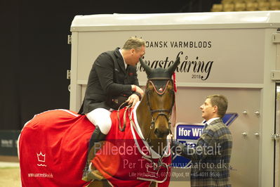 Dansk varmblod hingstekåring.
STUTTERI ASK Grand Prix 150 cm CSI3
Nøgleord: robert vos;lap of honour