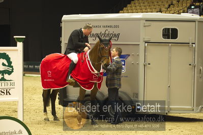 Dansk varmblod hingstekåring.
STUTTERI ASK Grand Prix 150 cm CSI3
Nøgleord: robert vos;lap of honour