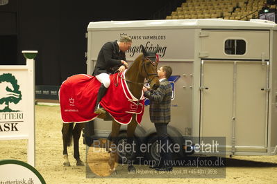 Dansk varmblod hingstekåring.
STUTTERI ASK Grand Prix 150 cm CSI3
Nøgleord: robert vos;lap of honour