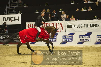 Dansk varmblod hingstekåring.
STUTTERI ASK Grand Prix 150 cm CSI3
Nøgleord: robert vos;lap of honour