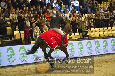 Dansk varmblod hingstekåring.
STUTTERI ASK Grand Prix 150 cm CSI3
Nøgleord: robert vos;lap of honour