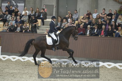 Dansk Rideforbunds Championats finaler 2018 dressur
Dansk Rideforbunds Championats finaler 2018
5 års præmie - 6års klassen
Nøgleord: manuel springhetti;adoro 8