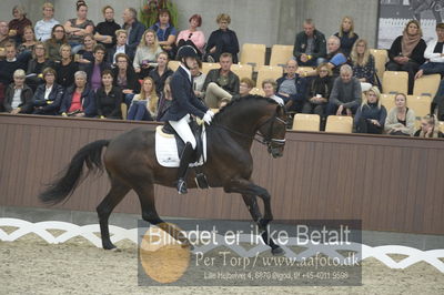 Dansk Rideforbunds Championats finaler 2018 dressur
Dansk Rideforbunds Championats finaler 2018
5 års præmie - 6års klassen
Nøgleord: manuel springhetti;adoro 8