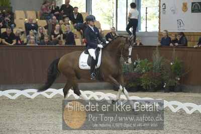 Dansk Rideforbunds Championats finaler 2018 dressur
Dansk Rideforbunds Championats finaler 2018
5 års præmie - 6års klassen
Nøgleord: emma ahlberg;vestervangs  garson