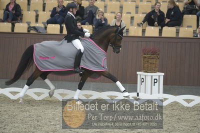 Dansk Rideforbunds Championats finaler 2018 dressur
Dansk Rideforbunds Championats finaler 2018
5 års præmie - 6års klassen
Nøgleord: jan møller Christensen;hesselhøj donkey boy;lap of honour