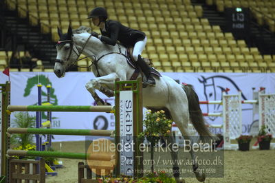 Showjumping
stutteri ask 3 medium tour 145cm
Nøgleord: sashia astrup jensen;bring it on